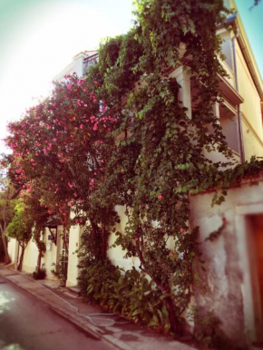 Guest House Neho